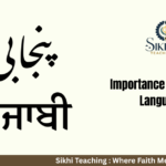 importance of punjabi language