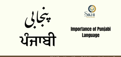 importance of punjabi language
