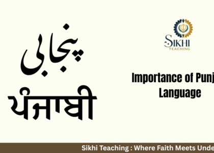 importance of punjabi language